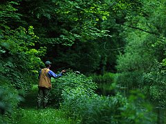 River Test, Hampshire, England
